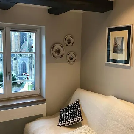 Lägenhet -bm Gretel-modern Duplex With Cathedral View Colmar